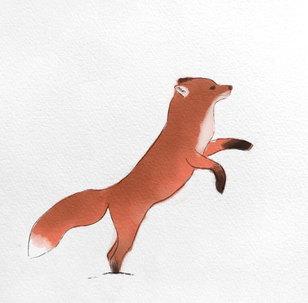 fox in the snow